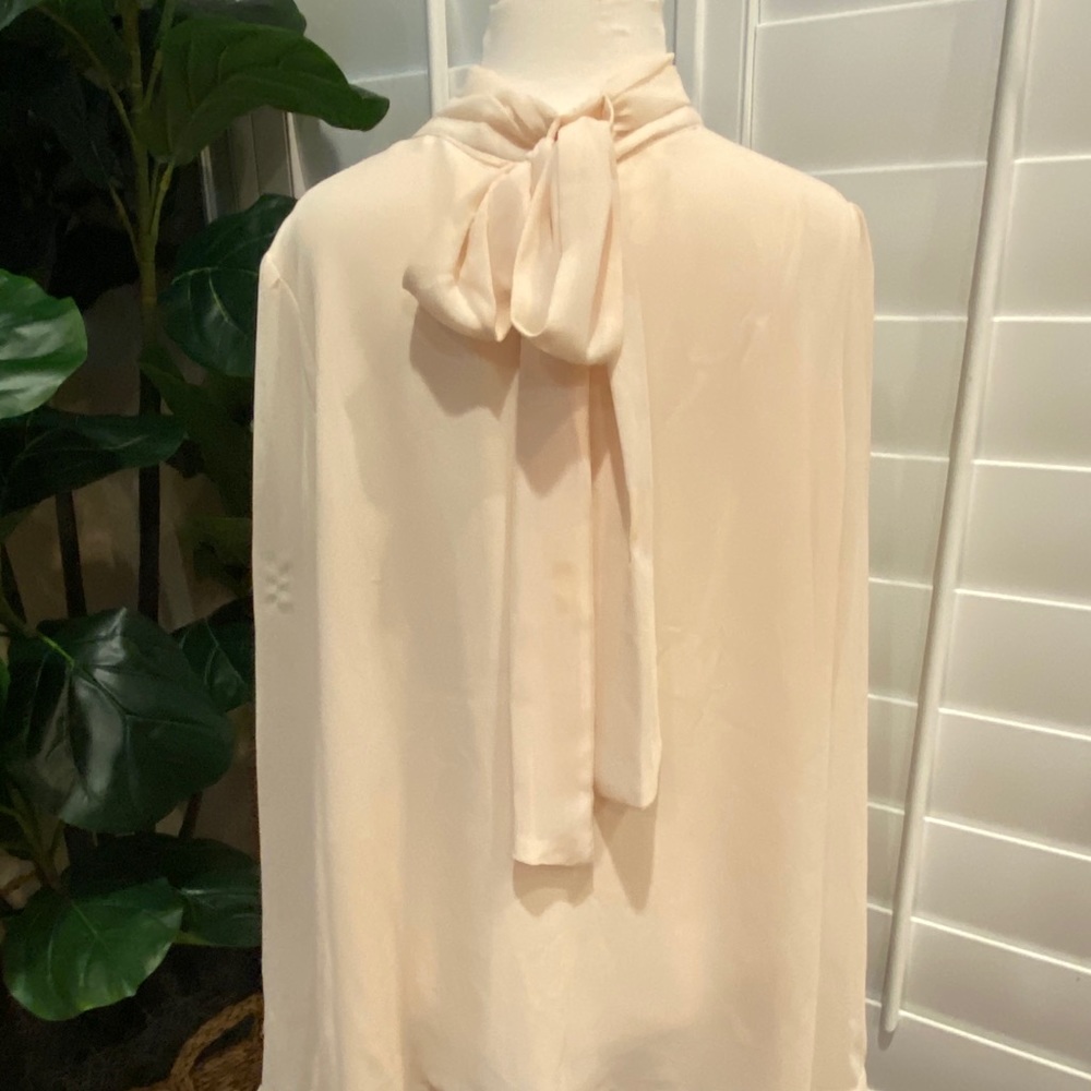 Cream Shear Blouse - Picture 2 of 2